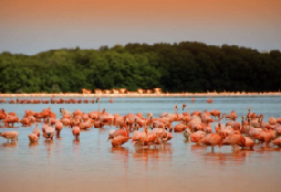 Tour Las Coloradas